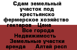 Сдам земельный участок под крестьянско-фермерское хозяйство 20 гектаров › Цена ­ 10 000 - Все города Недвижимость » Земельные участки аренда   . Алтай респ.,Горно-Алтайск г.